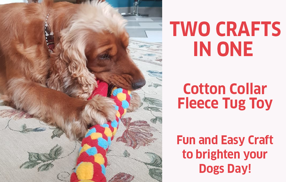 PAWFECT GIFTS – DOG TUG TOY & COLLAR