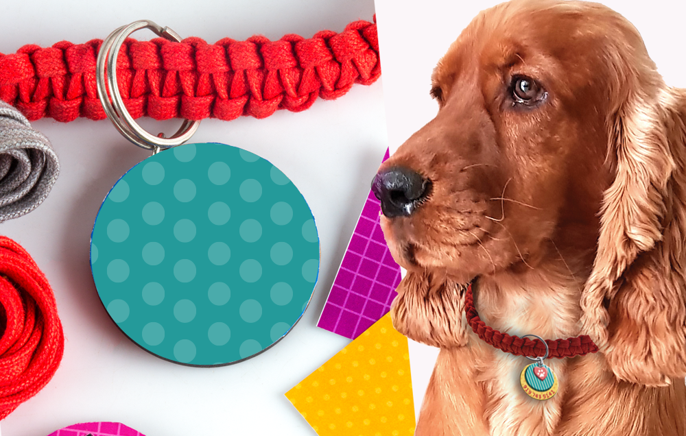 PAWFECT GIFTS – DOG TUG TOY & COLLAR
